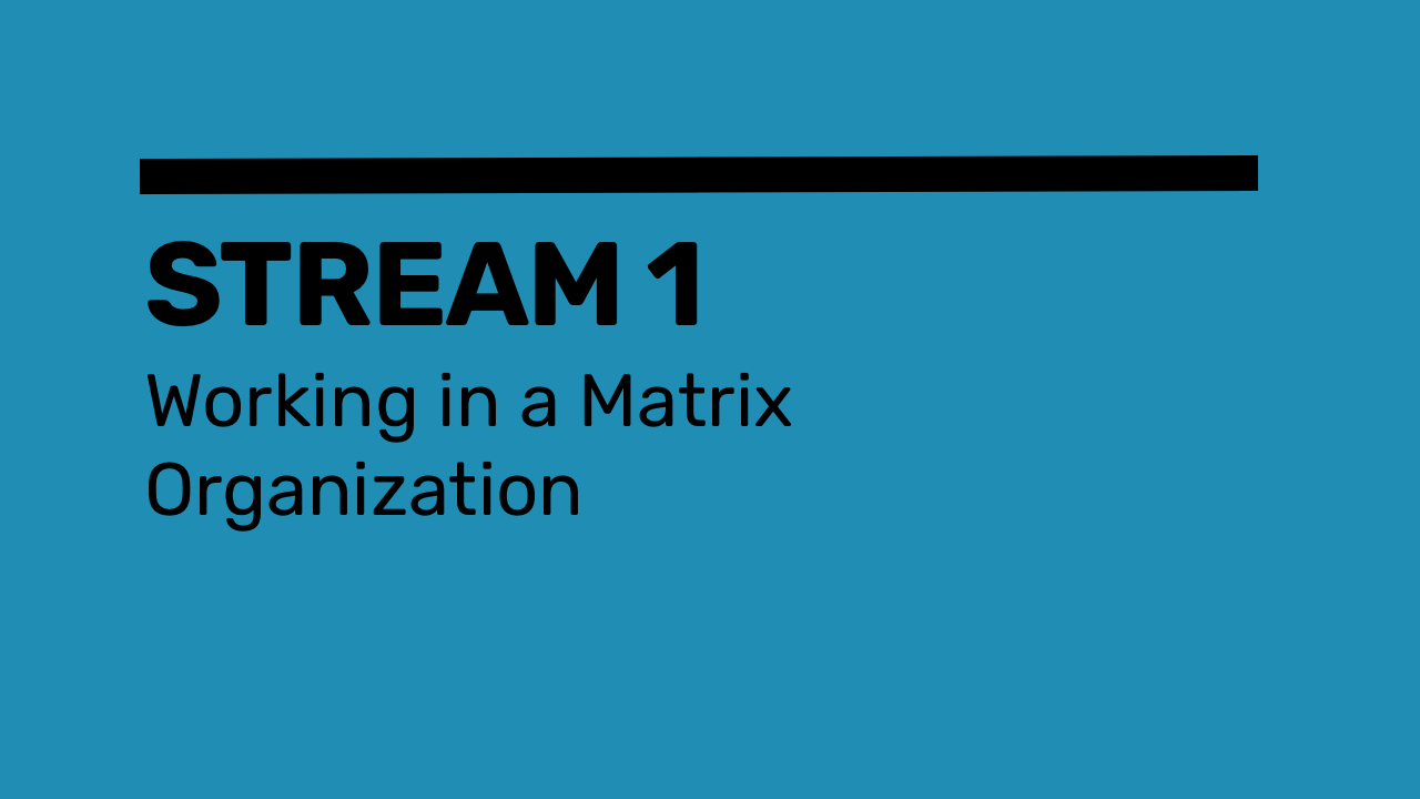 Working in a Matrix Organization