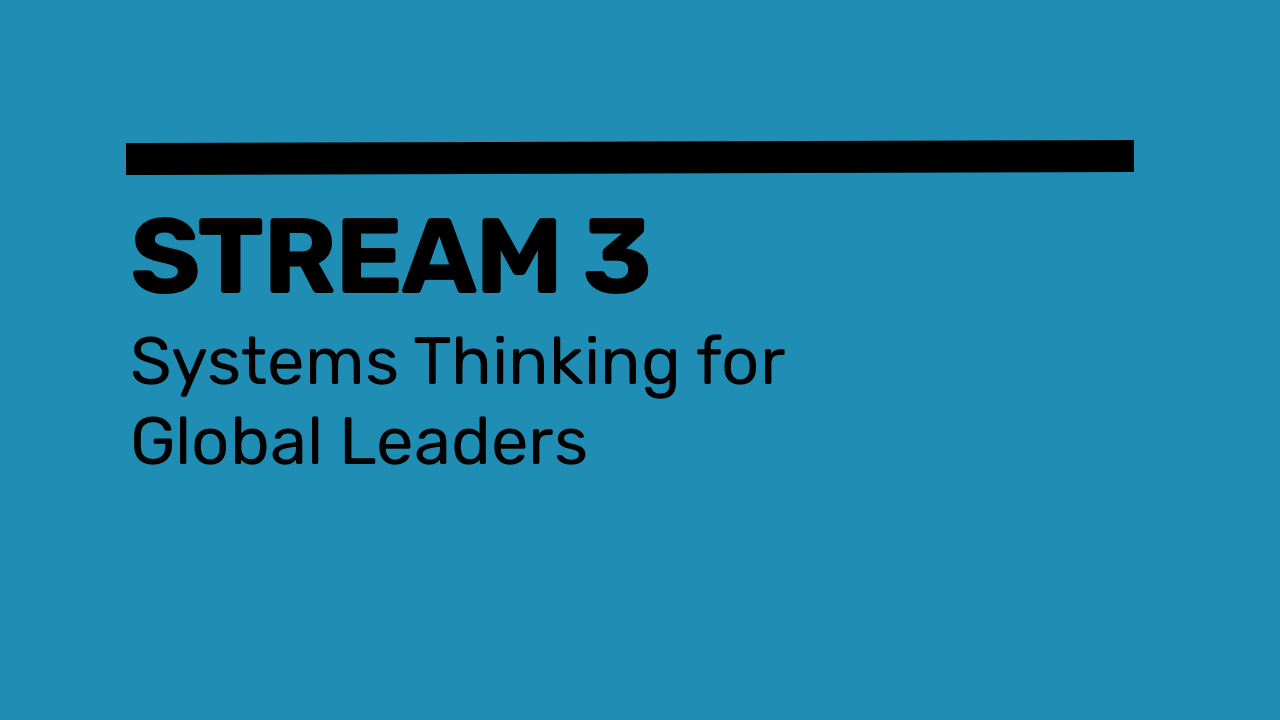 Systems Thinking for Leaders