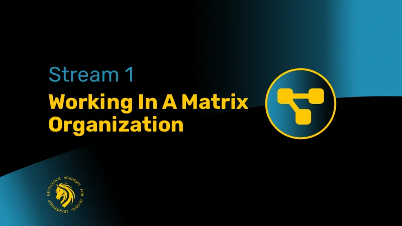 Stream 1 &ndash; Working in a Matrix Organization