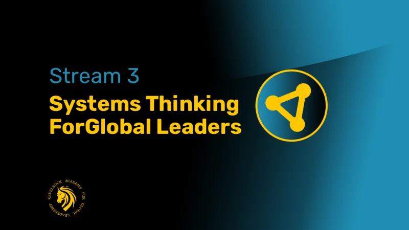 Stream 3 &ndash; Systems Thinking for Global Leaders